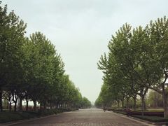 -华东政法大学(松江校区)