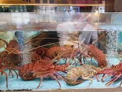 -阿伟海鲜楼·福建菜(延寿店)