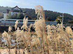 -南京市无想山景区