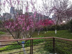 -沐仙湖湿地公园