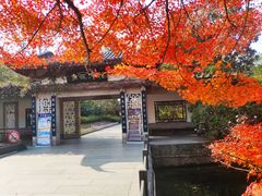 -西湖外事游船(花港观鱼码头)