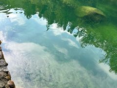 -石台牯牛降景区