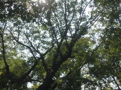 -西安国际创新人才交流中心•药浴温泉
