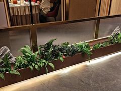 -宏宴·新京菜(望京店)