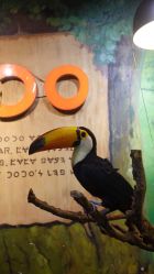 -Zoolung Zoolung动物主题公园(海信广场店)