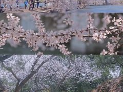 -颐和园