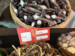 -滇铺子·云南特色菜·第九届野生菌美食节(东风东路c86店)