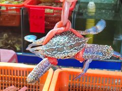-巽寮印象美食部落餐厅·海鲜·地方特色菜(惠州体验店)