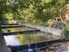 -广州白江湖森林公园