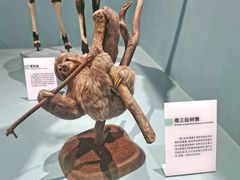 -国家自然博物馆