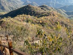 -大岭沟猕猴桃谷风景区