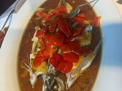 -丹江渔村(望京店)