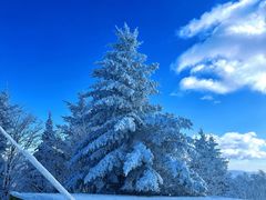 -亚布力新体委滑雪场