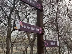 -桃花堤公园
