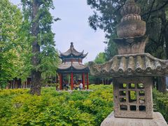 -洛阳白马寺