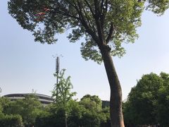 -杭州城北体育公园