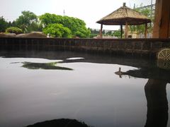 -龙达温泉生态城