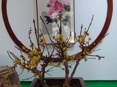 -无锡梅园公园