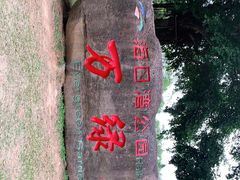 -万绿园