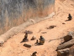 -云南野生动物园