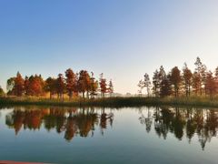 -贡湖湾湿地公园