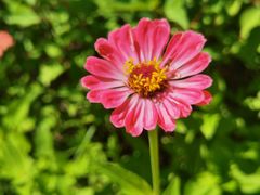 -杜氏旅游度假区