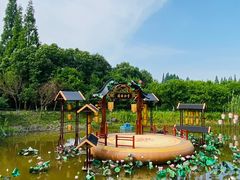 -长田漾湿地公园