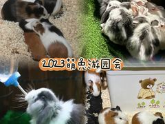 -南京海底世界