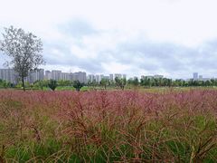 -汉长安城未央宫国家考古遗址公园