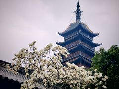 -常熟方塔园