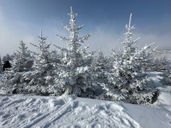 -密苑云顶乐园(云顶滑雪场)