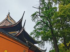 -西园戒幢律寺