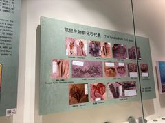 -辽宁古生物博物馆
