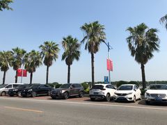 景观位-南沙十九涌渔人码头-南门