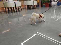 -贝利宠物医院·骨科·眼科·肿瘤转诊中心(南坪诊疗中心)