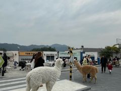 -Blue Concept Cafe&Farm·關於藍