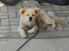 -梨木台悦来客农家院