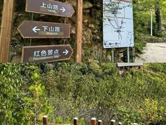 -大岭沟猕猴桃谷风景区