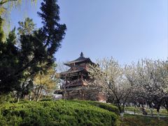 -西安青龙寺遗址景区