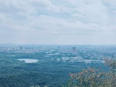 -紫金山山顶公园