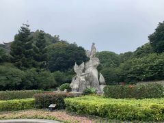 -金鸡山公园
