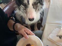 -百好乐宠物友好餐厅(朝外大街店)