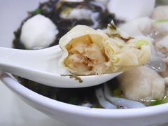 -文辉墨鱼丸大王(铜锣湾渣甸街总店)