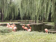 -石家庄市动物园