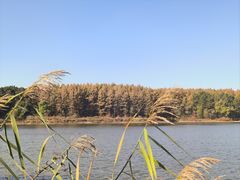 -长春净月潭风景名胜区