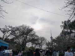 -味多美蛋糕(六里桥店)