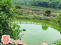 -听风阁农家私房菜茶楼(龙坞店)