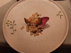 彩色水八珍-叶叶菩提·晋福宫