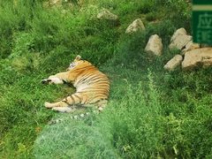 -西安秦岭野生动物园