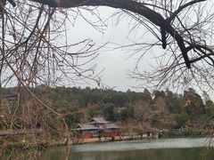 -黑龙潭公园